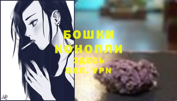 шишки Нефтегорск