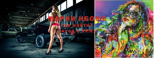 гашик Надым