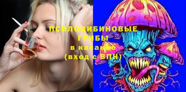 гашик Надым