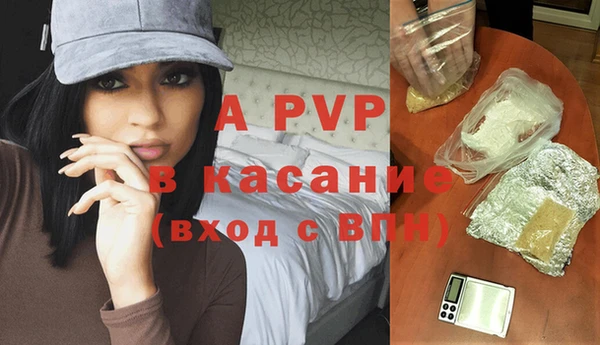 гашик Надым