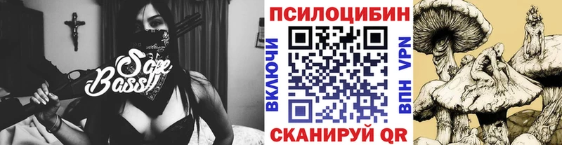 Псилоцибиновые грибы мицелий  mega зеркало  Кириллов  цена  